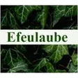 Blumengeschäft Efeulaube