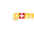 g+m elektronik ag
