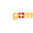 g+m elektronik ag