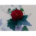 Sonja's Blumenboutique
