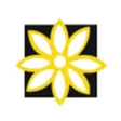 Blumen Design | Fleurop Interflora