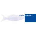 Maler Fischer
