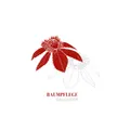Baumpflege-Gallusser