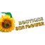 Boutique Sun-Flower