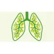 Lungenliga Bern / Ligue pulmonaire bernoise