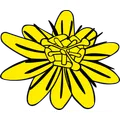 Naturarztpraxis Lyyb und Seel