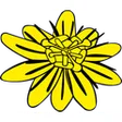Naturarztpraxis Lyyb und Seel