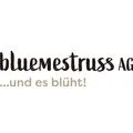 bluemestrussAG Wanninger