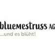 bluemestrussAG Wanninger