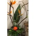 Blumenwerkstatt Vera