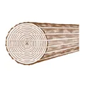 Raschle Holz AG