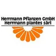 Herrmann Pflanzen GmbH