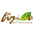 Bürgi.ch AG