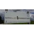 Mireille's Hundestudio