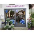 Blumen Vergissmeinnicht