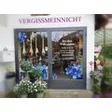 Blumen Vergissmeinnicht