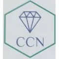 CCN-Clean Company Nessy
