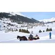 Kutschen Davos