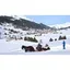 Kutschen Davos