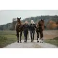 LM HORSES GmbH