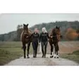 LM HORSES GmbH