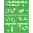 GTSM Magglingen AG