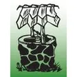 Brunner Gartengestaltung AG