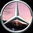Automobile Diethelm AG