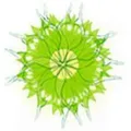 Naturheilpraxis Murer GmbH