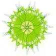 Naturheilpraxis Murer GmbH