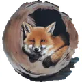 Mietmobil Fuchs