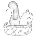 Hundesalon Kleintierpflege Pudelwohl