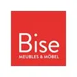 Bise Georges AG