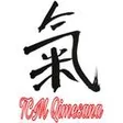 TCM Qimesana