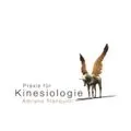 Praxis für Kinesiologie Adriano Tranquilli