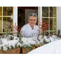 Arlenwald Hotel Arosa AG