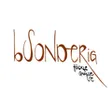 bSONDERig by Frischknecht's