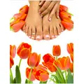 Sonja Art of Nail