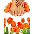 Sonja Art of Nail