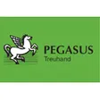 Pegasus Treuhand Urs Vögele Beratungen GmbH