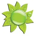 LE JOYAU VERT