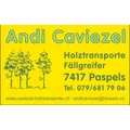 Caviezel Andi