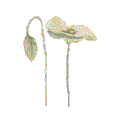 Blumen Atelier