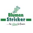 Blumen Stricker
