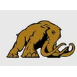 Mammut Umzüge AG
